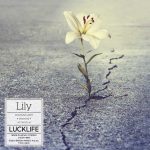 Cover art for『Luck Life - Lily』from the release『Lily』