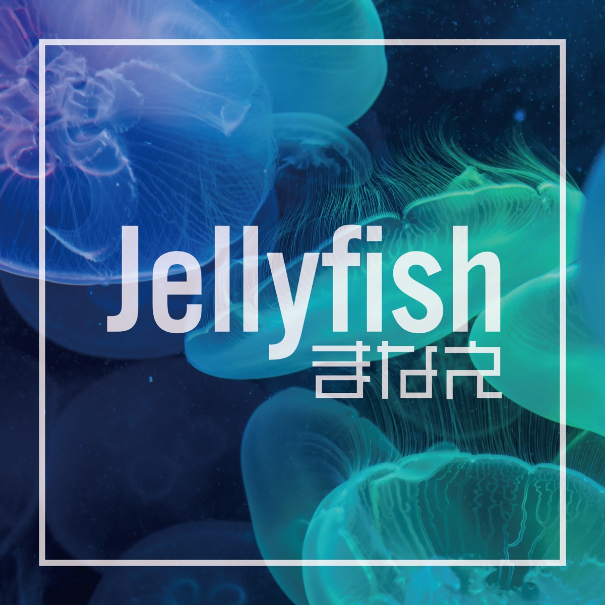 Manae Jellyfish Lyrics Lyrical Nonsense